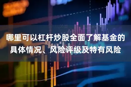 哪里可以杠杆炒股全面了解基金的具体情况、风险评级及特有风险