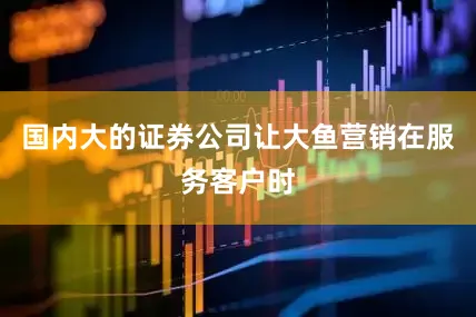 国内大的证券公司让大鱼营销在服务客户时