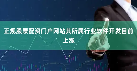 正规股票配资门户网站其所属行业软件开发目前上涨