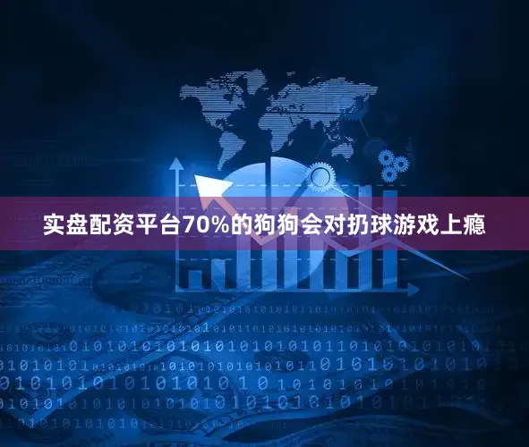 实盘配资平台70%的狗狗会对扔球游戏上瘾